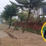 ग्रेस इन्टरनेशनलको १९ औ शाखा धरानमा
